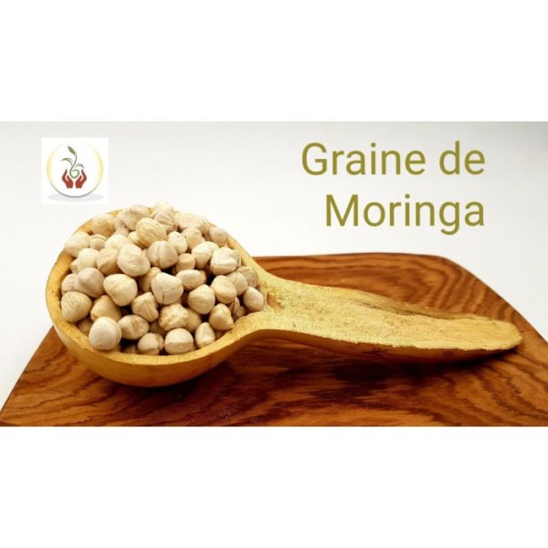 Graine de moringa – Image 3