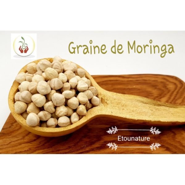 Graine de moringa – Image 2