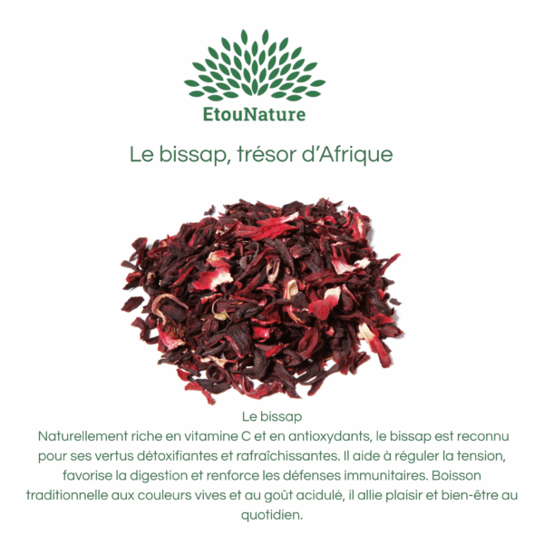 FEUILLES DE BISSAP – Image 3