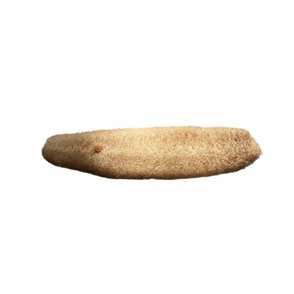 Eponge luffa