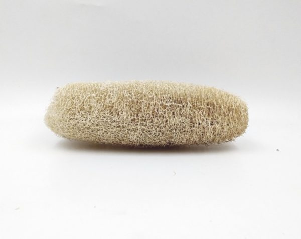 Eponge luffa