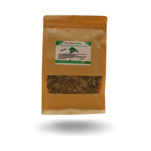 Feuilles de moringa