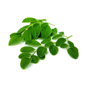 feuilles de moringa