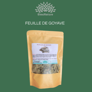 Les Feuilles de goyave séchées