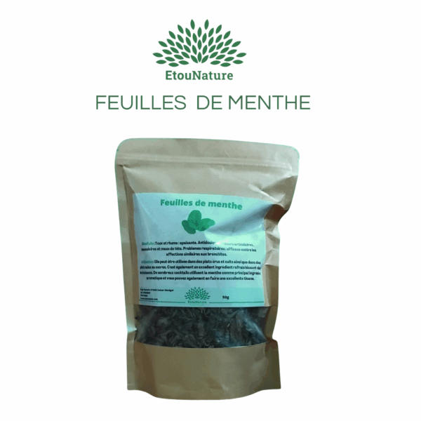 FEUILLES DE MENTHE