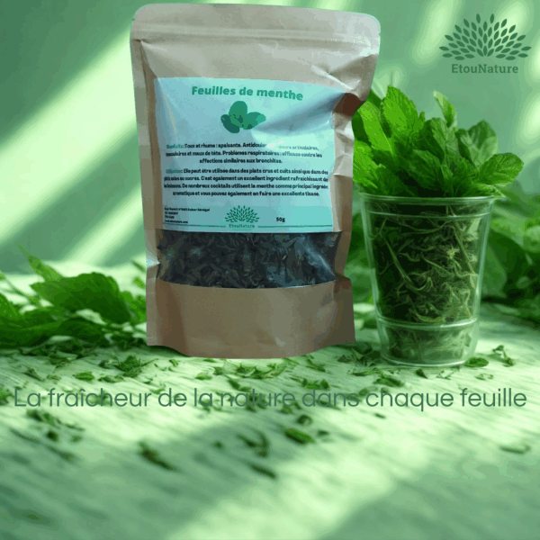 FEUILLES DE MENTHE – Image 2