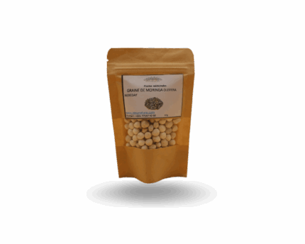 Graine de moringa