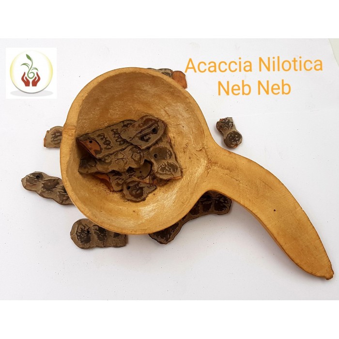 Poudre de l'acacia nitolica ou neb neb Poudre de l'acacia nitolica ou neb neb