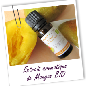 H.E extrait de mangue bio