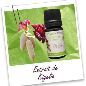 H.E extrait de plante kigelia