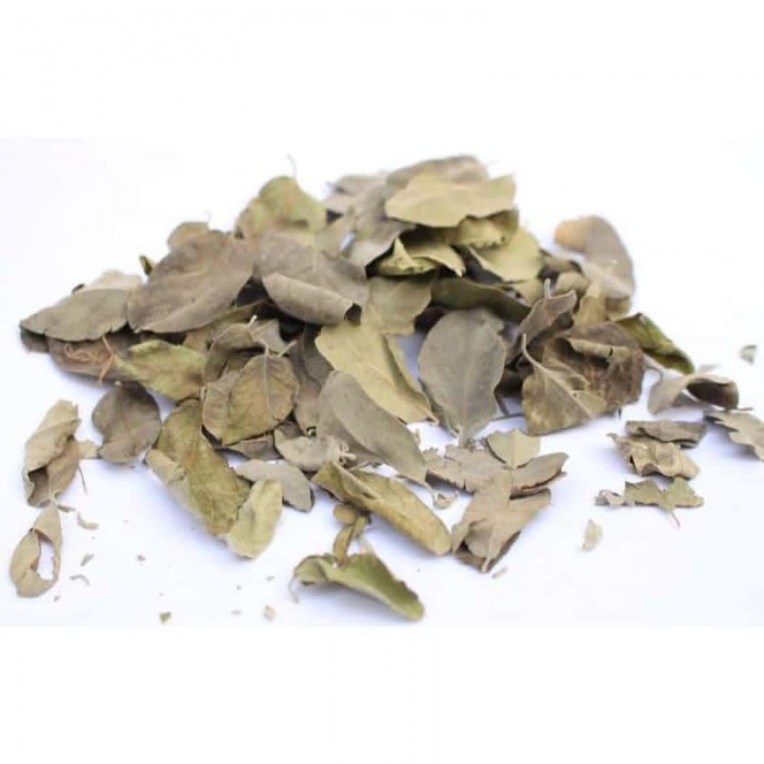 Feuille de nguer Feuille de nguer