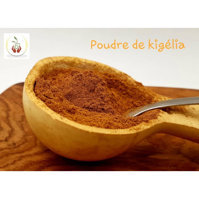 kigélia africana kigélia africana
