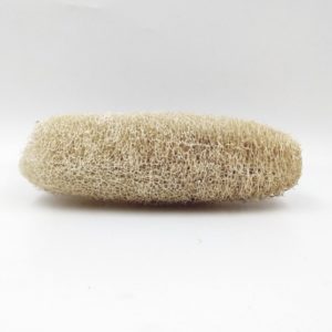 Eponge luffa