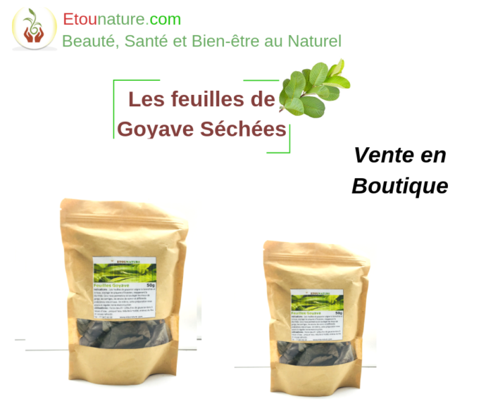 Feuilles de goyave, 100 feuilles de goyave naturelles séchées, feuilles de  goyave saines, 100 % naturelles : : Epicerie