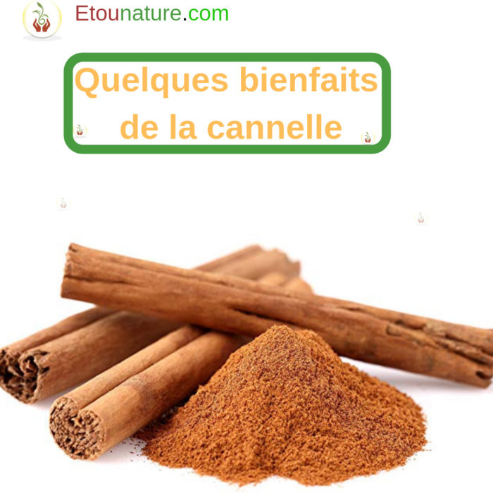 Les bienfaits de la cannelle 