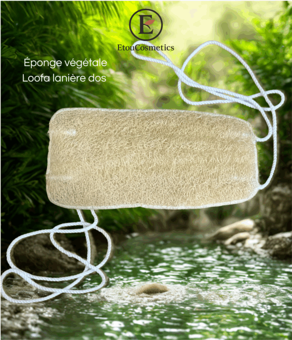 EPONGE LOOFA LANIERE DOS 2